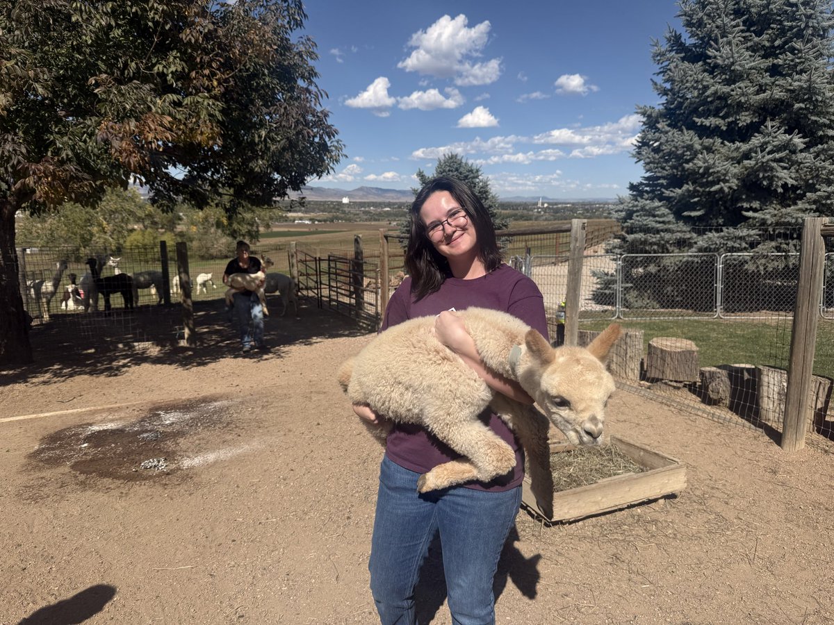 CSUprevet's tweet photo. We had so much fun on our tour of Stargazer Alpaca ranch! https://t.co/wirMH8d7CS