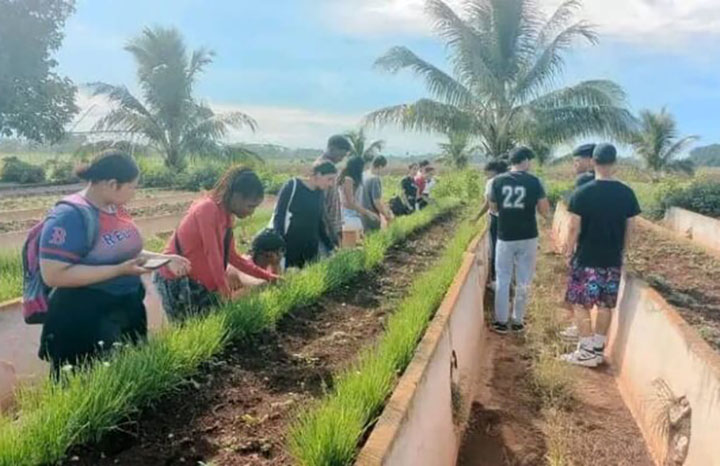 ACN_Cuba's tweet photo. 🌱 Estudiantes de primer año de todas las carreras de la Universidad Agraria de La Habana visitaron la Granja Universitaria El Guayabal, en una jornada que integró actividades productivas, científicas y comunitarias. 💪🚜

#ACNreporta https://t.co/UtkLlRWkBI