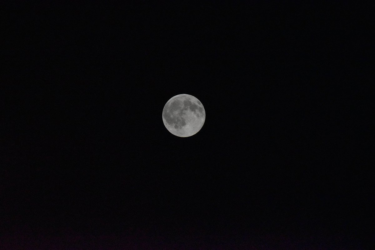 AddressingLife's tweet photo. Tonight's harvest moon as seen from County Wexford, Ireland. Just think of all the people looking up at it at the very same moment around the world. It's something to ponder, isn't it? 🌕 https://t.co/pd7ktyM3oz
