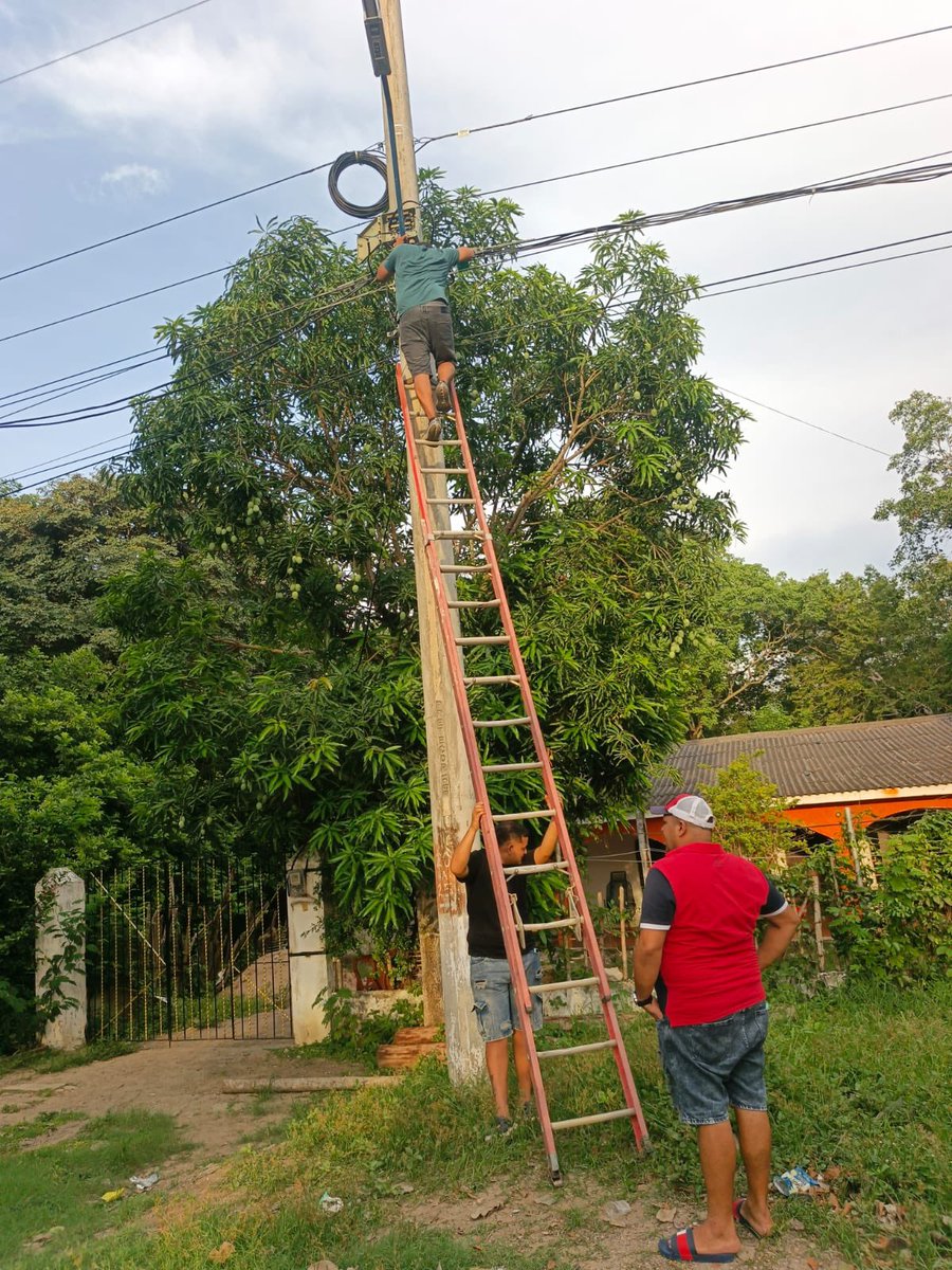 noticiasyabq's tweet photo. Capturado por manipulación de redes eléctricas en flagrancia en el corregimiento de Campeche Atl.

En operativos y estrategias orientadas a contrarrestar la manipulación no autorizada de las redes de energía y asegurar la prestación eficiente del servicio, las autoridades capturaron en flagrancia a un sujeto en el corregimiento de Campeche, en jurisdicción de Baranoa.

El procedimiento se llevó a cabo en inmediaciones de la carretera La Cordialidad con la carrera 13, cuando una persona estaba realizando una conexión ilegal y antitécnica.

Durante el procedimiento de registro y control, las autoridades incautaron una escalera metálica de extensión y herramientas.

Tras su aprehensión, el capturado fue puesto a disposición de la Unidad de Reacción Inmediata de la Fiscalía para responder por el delito de Defraudación de Fluidos, contemplado en el Artículo 256 del Código Penal Colombiano. 
@Aire_Energia