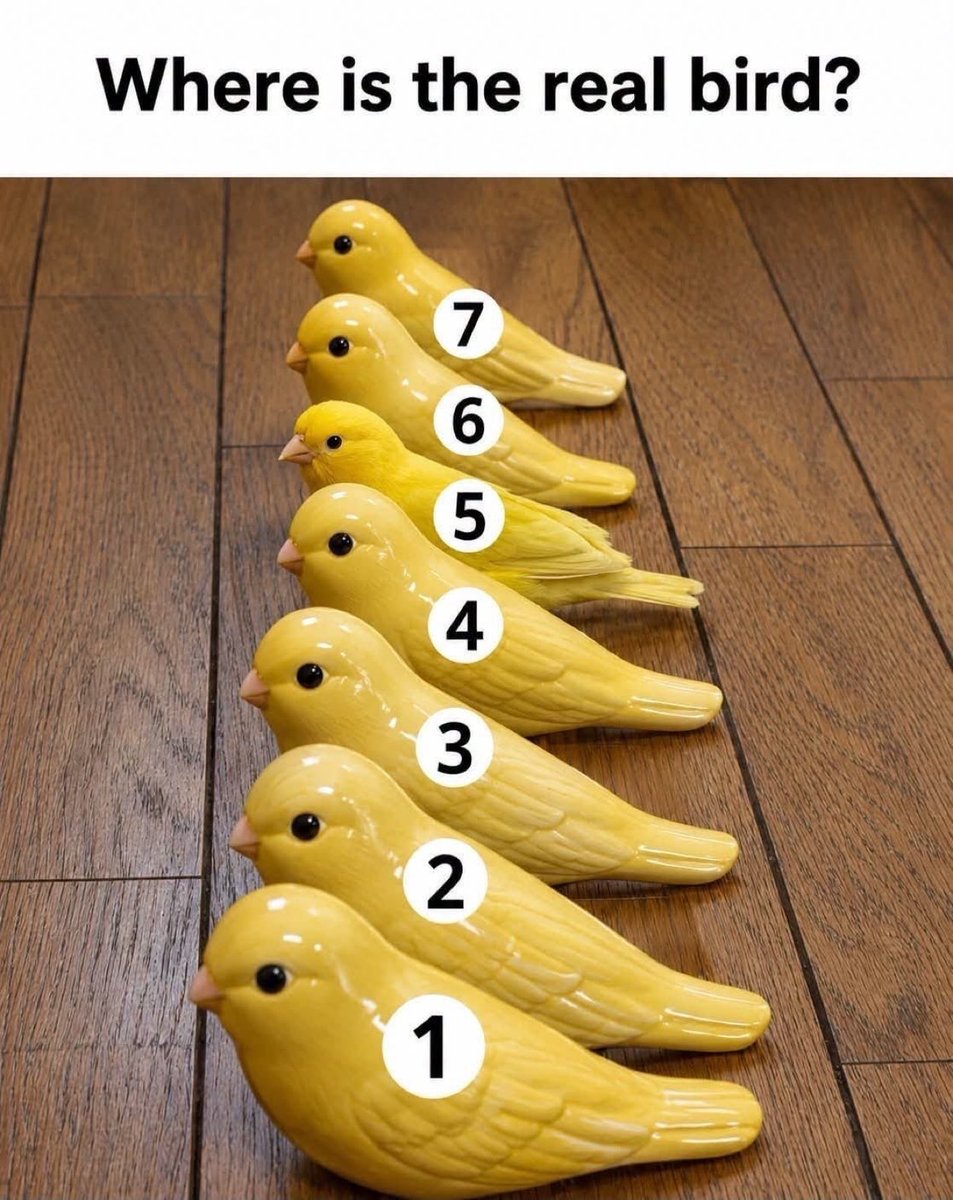 xOwner_5252's tweet photo. Are you a genius? https://t.co/oZMDzJMFNg