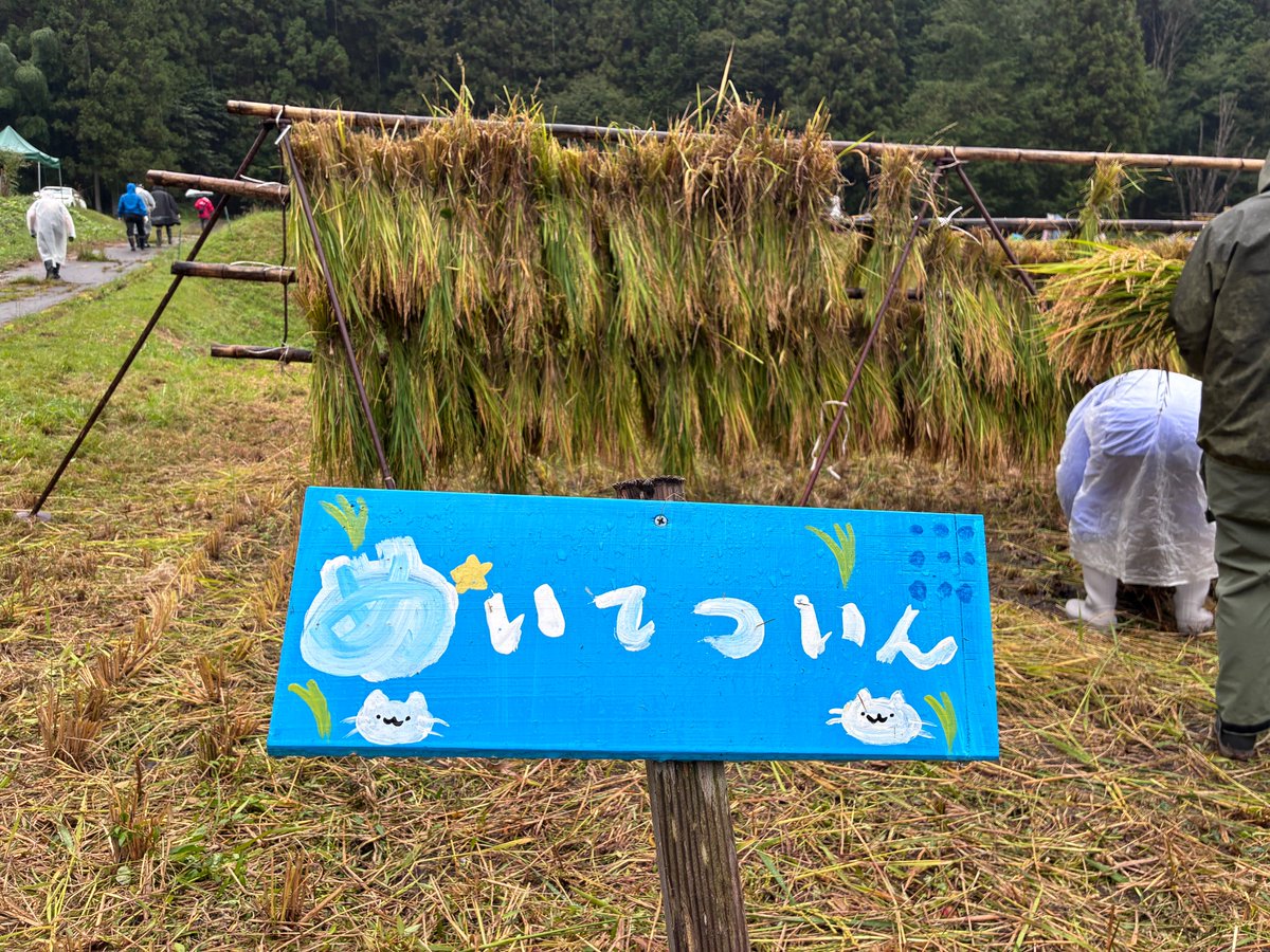 minnkanayama's tweet photo. こんにちは名鉄イン名古屋金山です😆

自然豊かな豊根村のいただきファームで稲刈りをしてきました🌾✨ 山々に囲まれた最高のロケーションの中、お米が実る田んぼで汗を流してきました！

お米の完成が今からとっても楽しみです😊🍚
#豊根村 #いただきファーム #稲刈り 
＃企業公式秋のフォロー祭り https://t.co/nVgo7YjelR