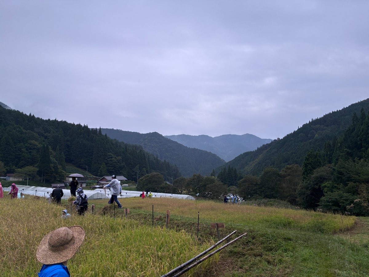 minnkanayama's tweet photo. こんにちは名鉄イン名古屋金山です😆

自然豊かな豊根村のいただきファームで稲刈りをしてきました🌾✨ 山々に囲まれた最高のロケーションの中、お米が実る田んぼで汗を流してきました！

お米の完成が今からとっても楽しみです😊🍚
#豊根村 #いただきファーム #稲刈り 
＃企業公式秋のフォロー祭り https://t.co/nVgo7YjelR