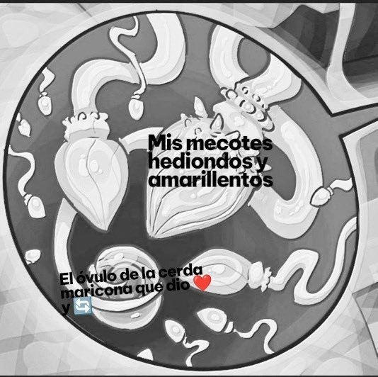 AlanAboytes4's tweet photo. Wendigo: bueno supongo que una pequeña dinámica para toda la zorritas mariconas con utero fértil que siguen esta cuenta de wendigos vergones 💕😈 https://t.co/hOKe906jKD
