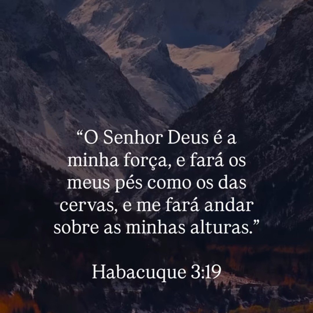 MensageirodaPa6's tweet photo. “O Senhor, o Soberano, é a minha força. Ele faz os meus pés como os da corça e me guia em segurança por sobre as montanhas.”
Habacuque 3:19 NBV-P https://t.co/uXTFHaYsak