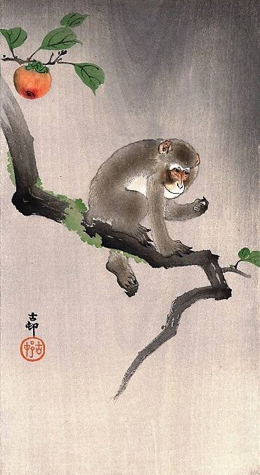 JapanTraCul's tweet photo. Monkey on the tree, by Ohara Koson, 19th century https://t.co/7HdOWxE6Le