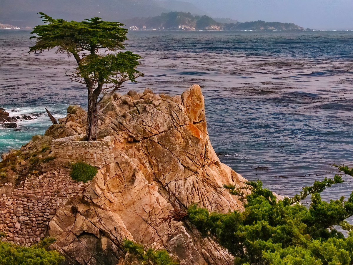 WeeJavaDude tweet picture