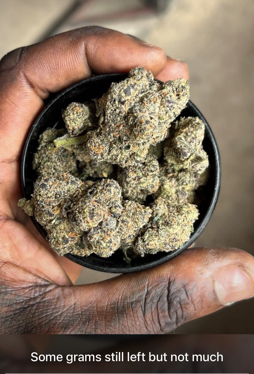 FarmCalikush's tweet photo. Proud of you My LiL Brother ❤️💨❤️💨🔥🔥🔥🔥@AkanniTrend https://t.co/dASvULDMhS
