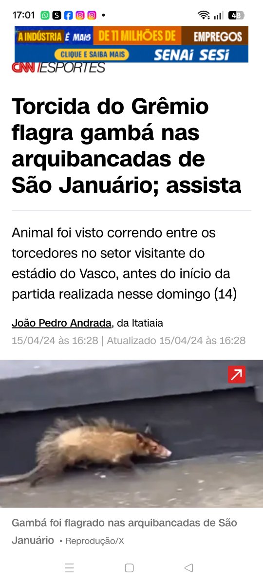 Bruno51973667's tweet photo. @TwittaVasco @1053thefan Perai, pô, cês tem gambá na arquibancada. Ksksksksjskskskks https://t.co/yqjHo9d50S