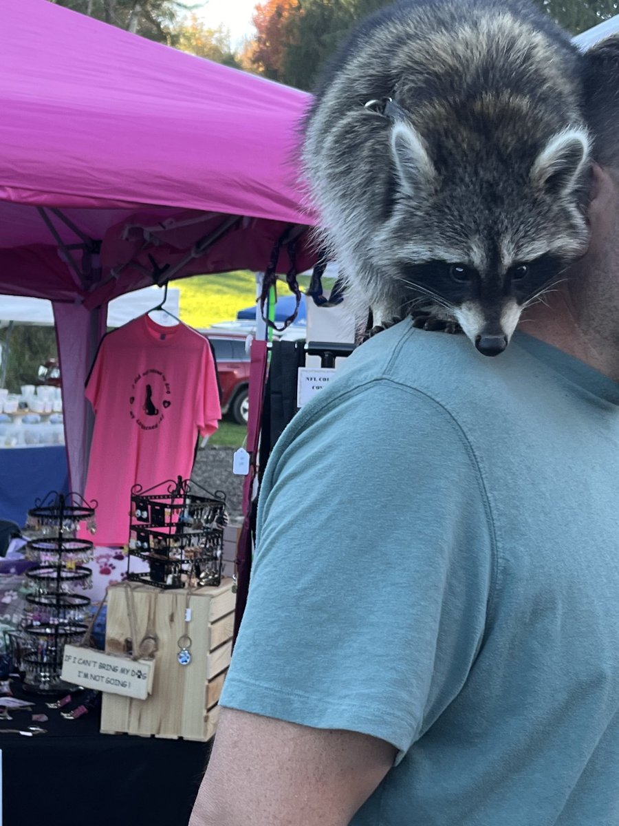 KellowanSy83's tweet photo. Strange Pets. https://t.co/aQT0bukQIf