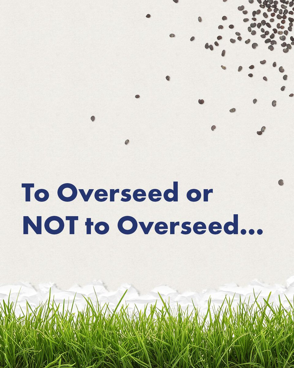 WUIW's tweet photo. Keep Your Lawn in the Loop 🌱

A green winter lawn can be tempting, but keeping Bermuda grass dormant may be a more water-wise choice. Before overseeding, consider the extra water, mowing and maintenance that come with that seasonal green-up.

Sometimes, letting your lawn rest is the smarter choice. https://t.co/OdHrkclozp

#WaterUseItWisely #SmartWaterUse #TipTuesday