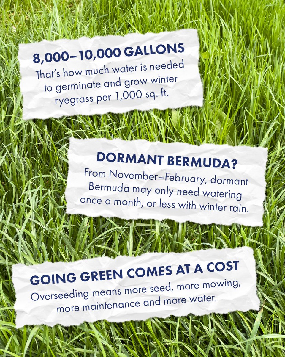 WUIW's tweet photo. Keep Your Lawn in the Loop 🌱

A green winter lawn can be tempting, but keeping Bermuda grass dormant may be a more water-wise choice. Before overseeding, consider the extra water, mowing and maintenance that come with that seasonal green-up.

Sometimes, letting your lawn rest is the smarter choice. https://t.co/OdHrkclozp

#WaterUseItWisely #SmartWaterUse #TipTuesday