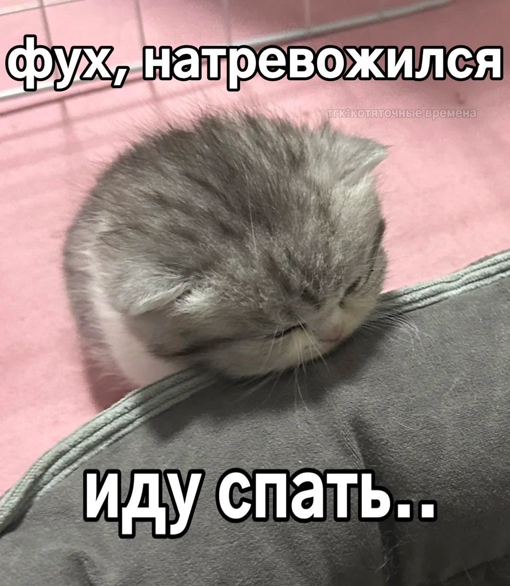 dwashxxw's tweet photo. https://t.co/R51iyp5E9c