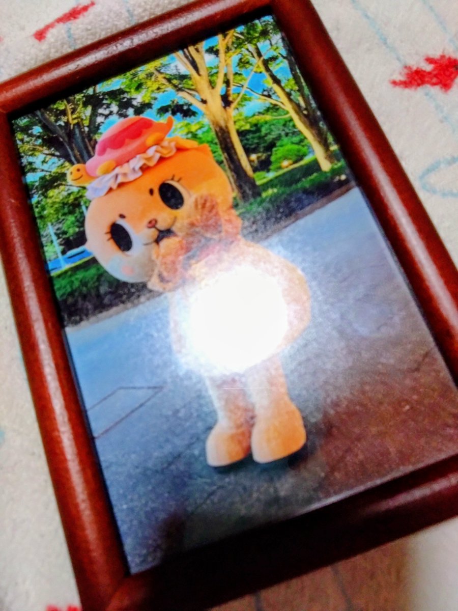 harutan0804's tweet photo. 🇫🇷のちぃ友ちゃんに初めて頂いたお手紙のお写真、めっちゃ可愛いので飾りますっ☆
♥Thank you♥
#ちぃたん☆
@laure42619688 https://t.co/O64lmSFZre