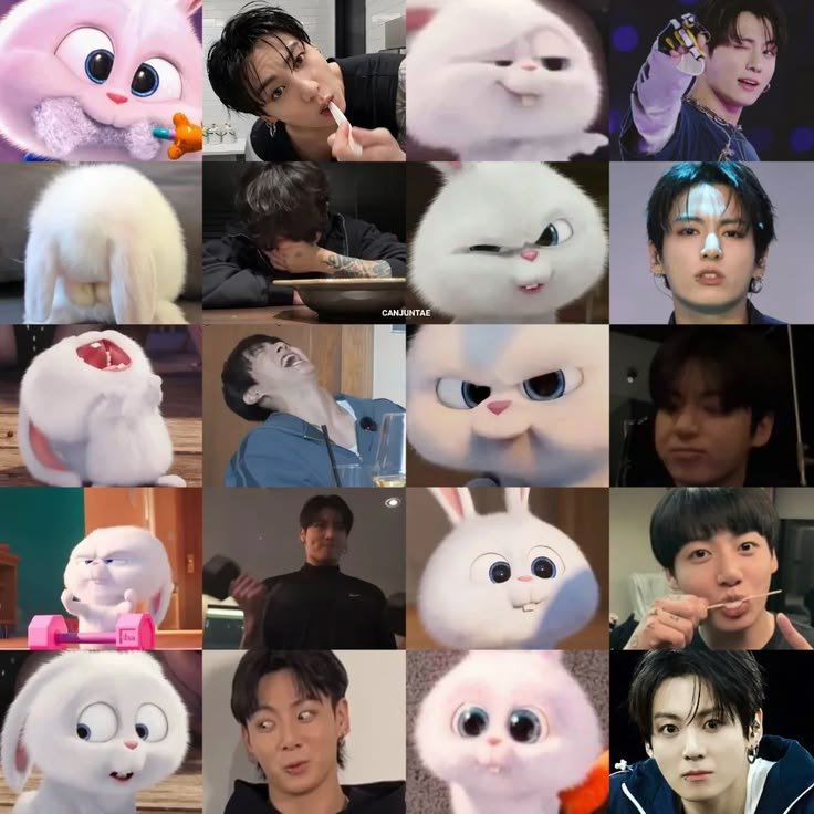 archvofgguk's tweet photo. OUR BUNNY KOO https://t.co/F2ywwETHgY