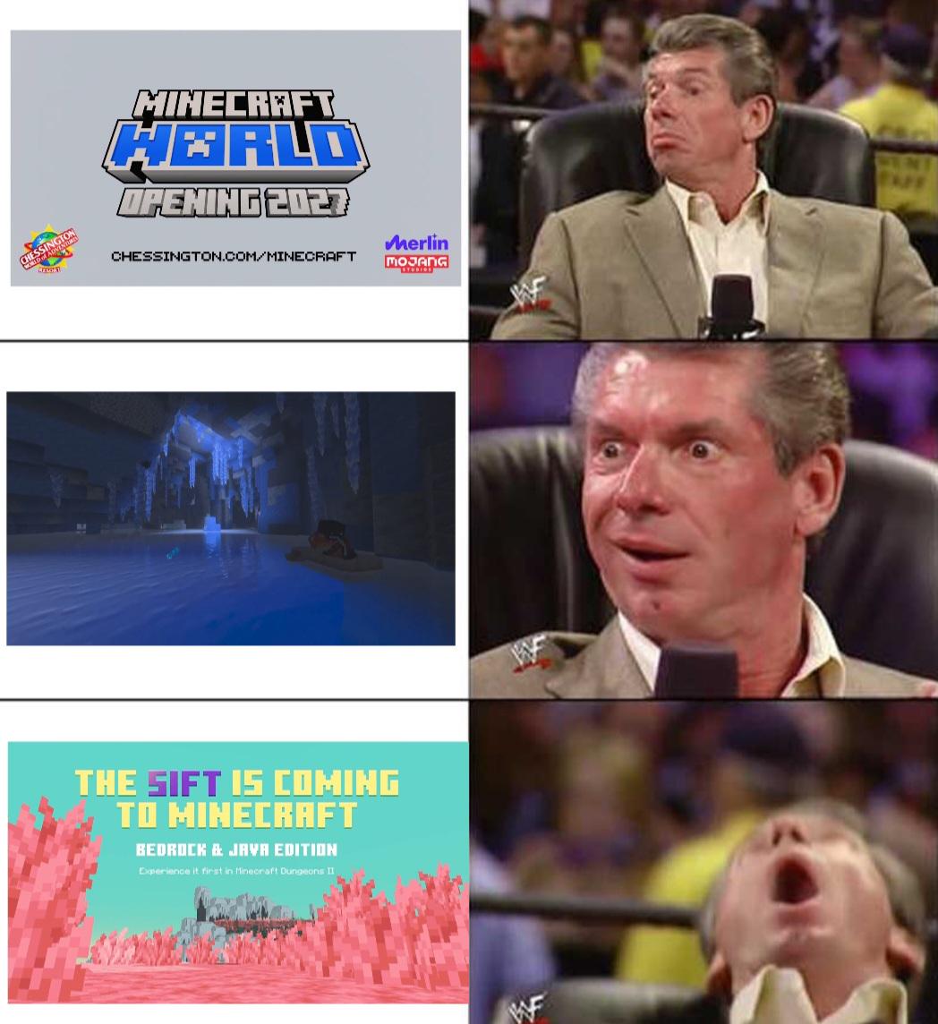 MinecraftMeme16's tweet photo. The live in a nutshell https://t.co/3MQjsuqgSp