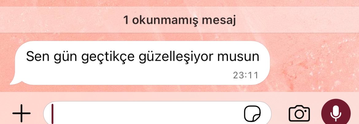 sumsterwird's tweet photo. soru sordugu icin eksi puan 🥀 https://t.co/K2FJOPeZDK