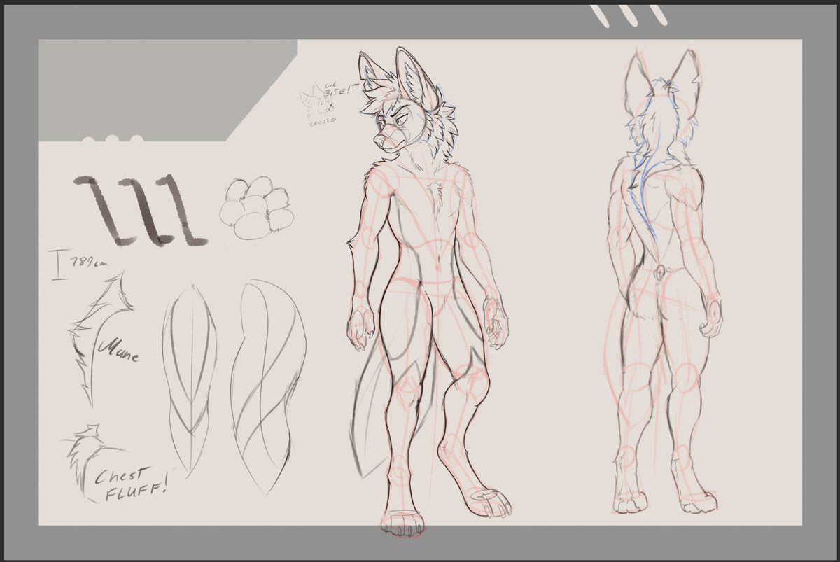 ManeyWolp's tweet photo. Working on my maned wolf currently, ref sheet is slowly taking shape :P https://t.co/Y4VwaCJm7g