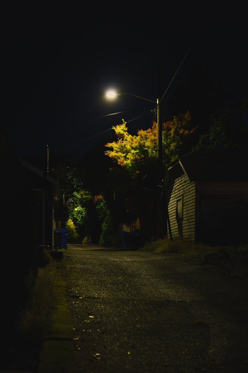 Simwerks's tweet photo. Night stroll. #lumix #seattle https://t.co/bUjOWkwC98