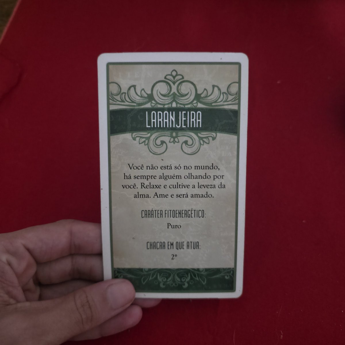 cantinhodaluz's tweet photo. Mensagem do Universo ✨️🔮

Áries, Câncer, Libra e Capricórnio!

• Se você tiver Sol, Lua ou Ascendente num desses signos acima, essa mensagem pode ser relevante pra você! ❤️🙏🏾

Me conta nos comentários se chegou na hora certa por aí 👀❤️✨️ https://t.co/gT9cOsiNBt