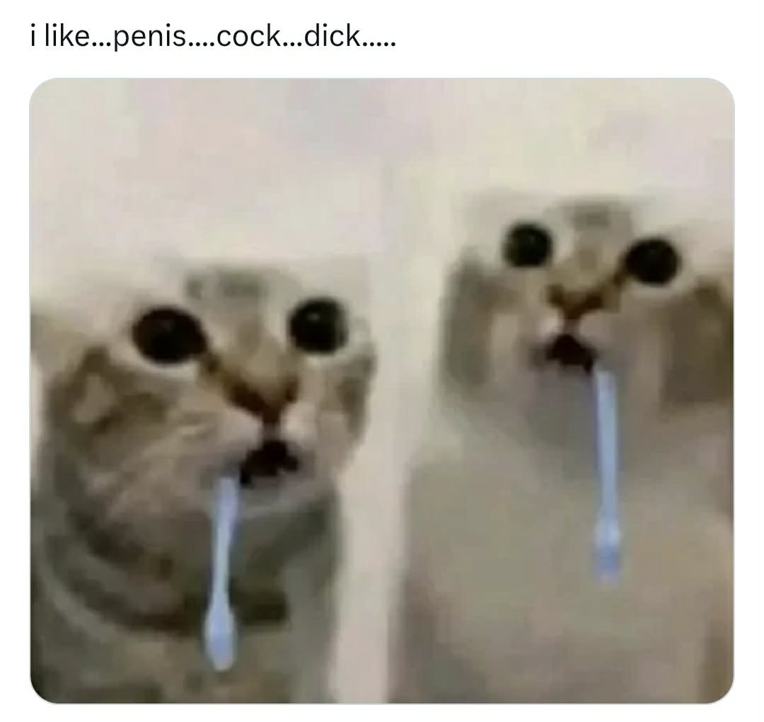Kookielm2's tweet photo. ughhh..  i really need a cock thrusting my hole...  (っ´ཀ`)っ   -ूाीू https://t.co/YU6h57DAIo