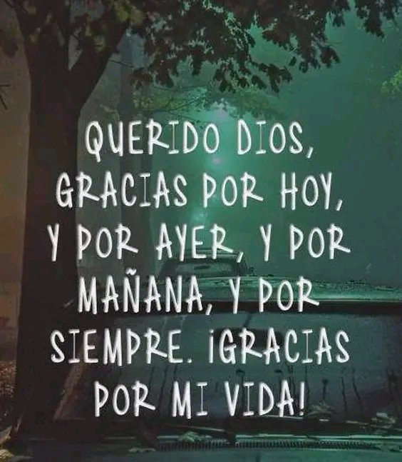 harito35's tweet photo. Amén amén gracias por todo Dios https://t.co/Rm9an2nAha