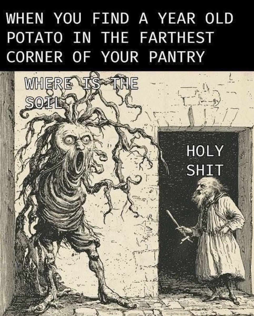 ThePapaManDave's tweet photo. 🥔 https://t.co/lgUmuqO7ns
