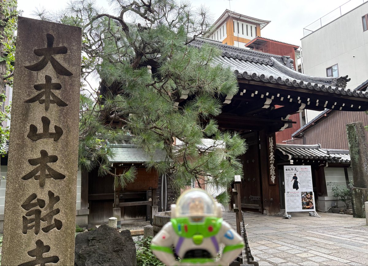 myaniwani's tweet photo. バズライトイヤーです
今日はここ　京都寺町で
秘密の任務だ
あれが本能寺
椎名林檎が建立したのか
恒星日誌によると
織田信長がやっつけられている
ザーグの陰謀か
明智光秀の正体はザーグだ
油断するなよウッディ

　ウッディは
　地下鉄を乗り過ごし
　国際会館を彷徨っている

ウッディ〜〜〜〜〜 https://t.co/DsolB9IGcP