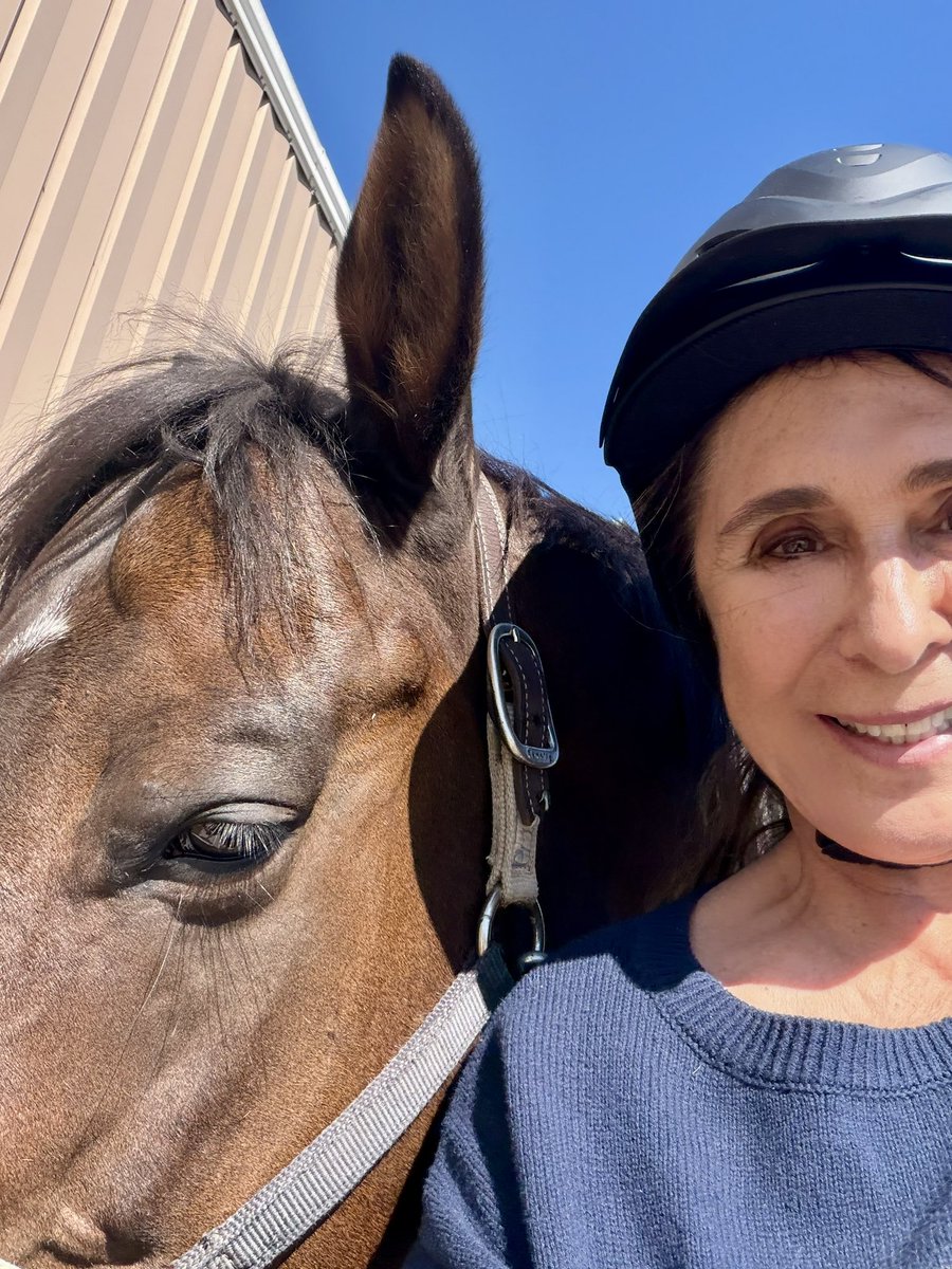 VictoriaDseaman's tweet photo. Saturday’s at home in Colorado equals a good English Riding Lesson! Get outdoors and get healthy ❤️ #getoutdoors #englishriding https://t.co/6mYkLOEfXR