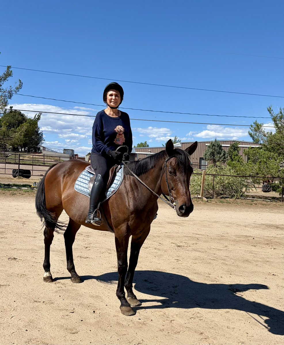 VictoriaDseaman's tweet photo. Saturday’s at home in Colorado equals a good English Riding Lesson! Get outdoors and get healthy ❤️ #getoutdoors #englishriding https://t.co/6mYkLOEfXR