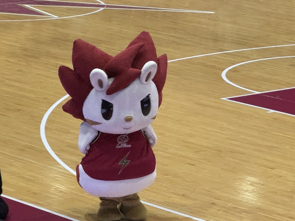 rippe_bm777's tweet photo. おはようございます☀
本日も嫁の我儘に付き合ってもらう為、朝も早くから活動中🚙
マジ旦那様に感謝🥲
早起きしたから、今日も眠い🫩💤←

なので、とどろきアリーナへはギリ②に行く予定🏀
ロウルの名古屋シール欲しいけど諦めた😭
今日も楽しもう♡

#ロウル可愛いよロウル https://t.co/s6MC9CO4OI
