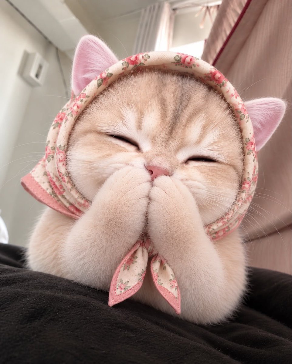 JAMILx_per's tweet photo. ME : ที่กำลังดูย้อนหลัง ผัดรอท เมื่อคืนน 🫠 https://t.co/ZsSUXGwi7W
