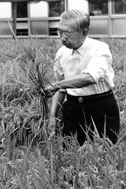 50YearsAgoLive's tweet photo. Emperor Hirohito harvests rice from his private farm at the Imperial Palace in Tokyo. https://t.co/ry4nIelIYF