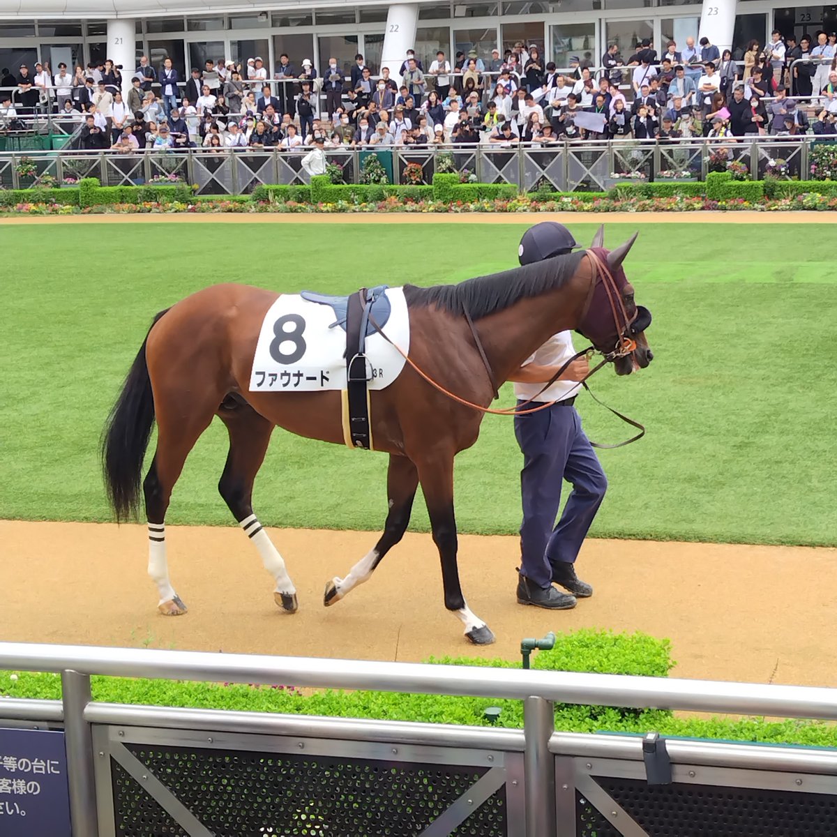 yas_0124's tweet photo. 今日のファウナード https://t.co/KLG8S9nx9W