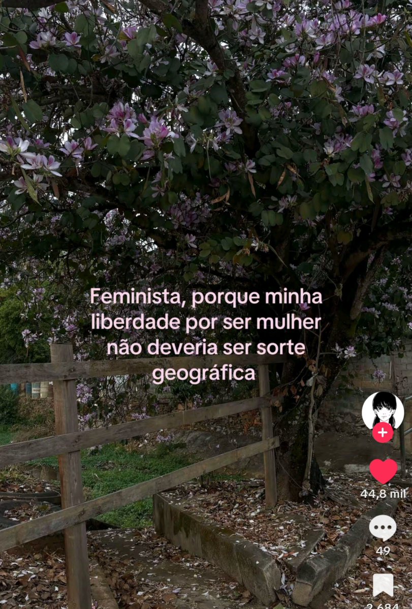liedelicia123's tweet photo. . https://t.co/snOm4ARRsK