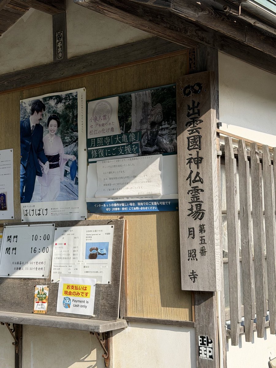 kym0096's tweet photo. 旧居では椅子に座り少し高めの机で物書きをした小泉八雲に思いを馳せ
月照寺では念願の亀に会い
不昧公の墓所などもお参りしてきました
＃小泉八雲旧居
＃月照寺 https://t.co/n0xQjribXh