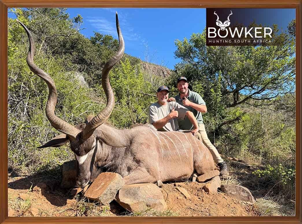 BowkerHuntm's tweet photo. Golden skies and record worthy horns. Moments like these are why we hunt Africa.
#BowkerHunting #KuduBull #SunsetHunt https://t.co/pF65rmeD7q