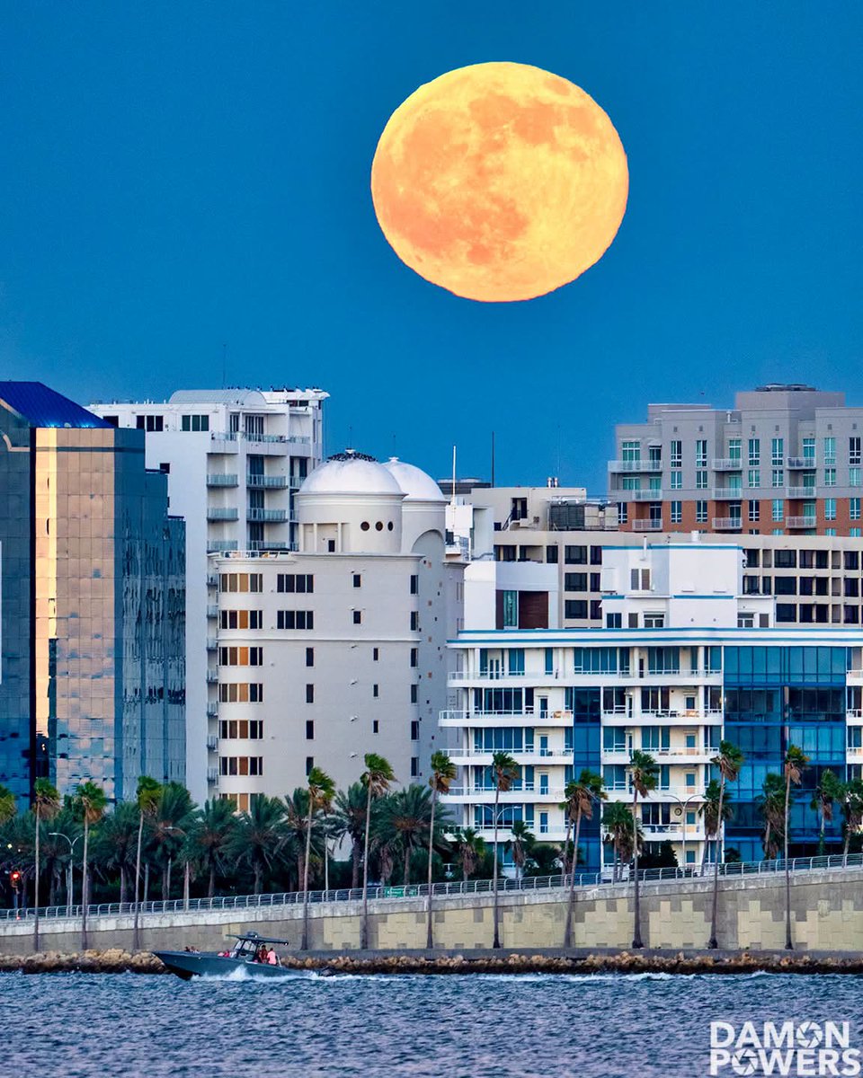 MattDevittWX's tweet photo. FLORIDA FULL MOON! 🌕 Incredible shots of the September "Harvest Moon" rising this evening and shining bright across the state. From my good friends Jorge Perez and Damon Powers. @stormhour https://t.co/iUixHIs131