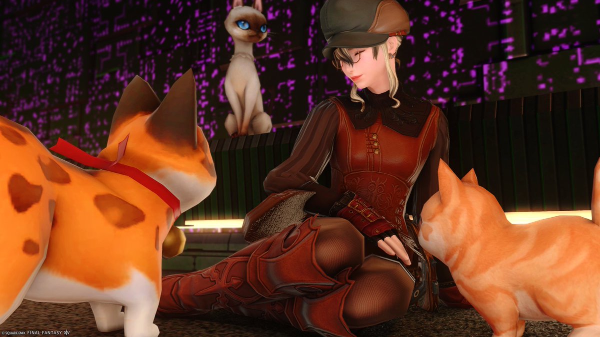 lyra_b27's tweet photo. アルカディアクリアした～！最後はねこちゃん達もはっぴーでワイもはっぴーや🐱♥️ https://t.co/We6uGdK0wB