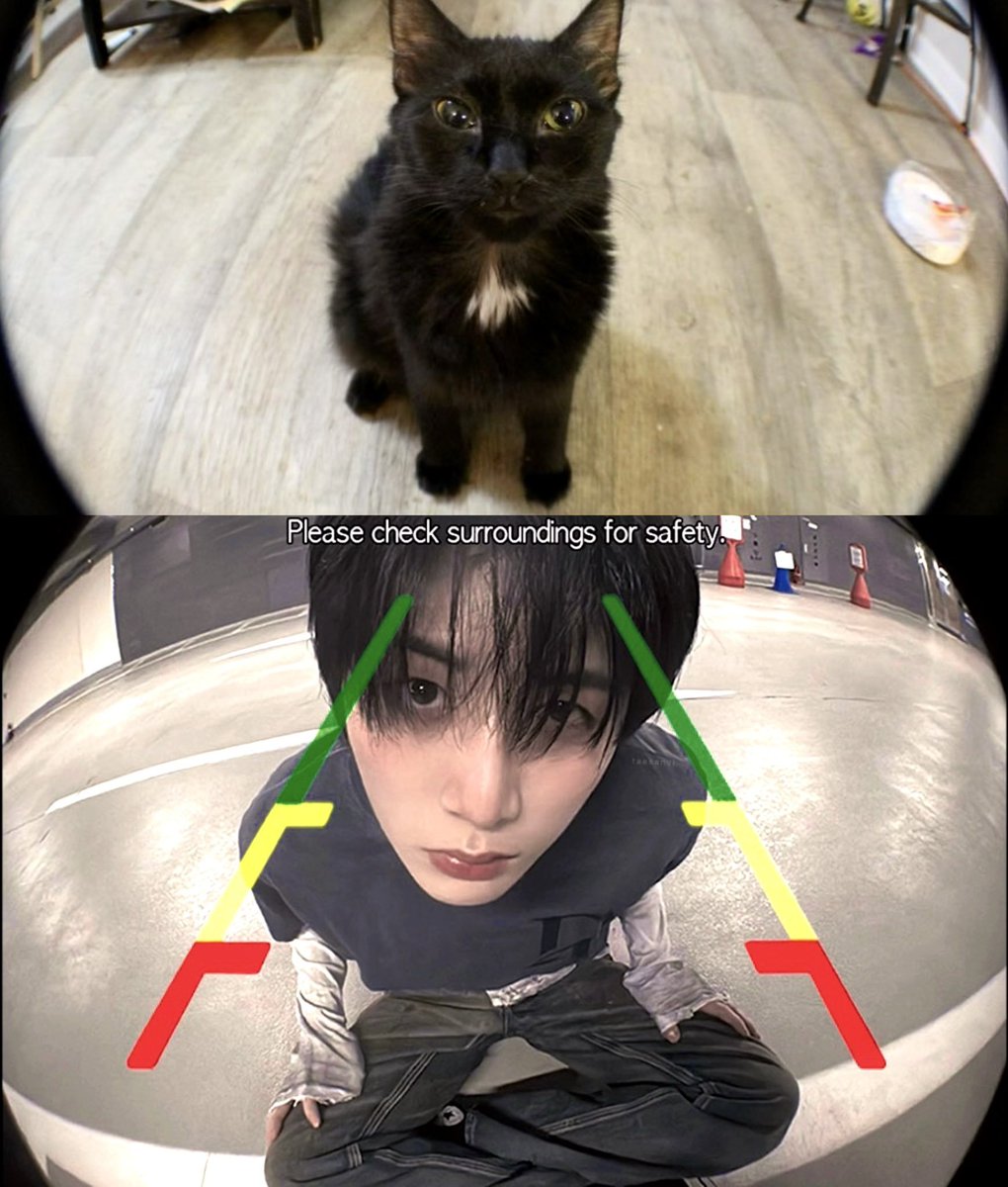 TaesanRiffs's tweet photo. https://t.co/d1inHujb3D