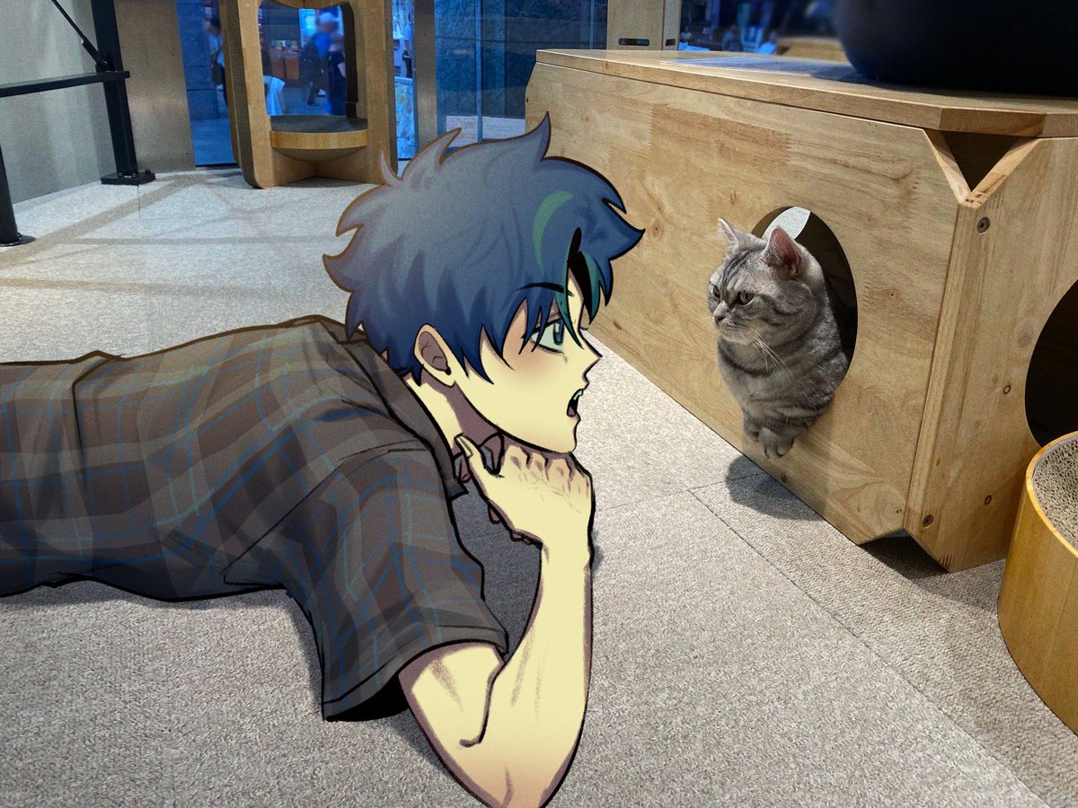 SenaKiryuin's tweet photo. 猫カフェ突撃した！
猫カフェ！
ンニー！😼 https://t.co/Hyy6pwTD6Z