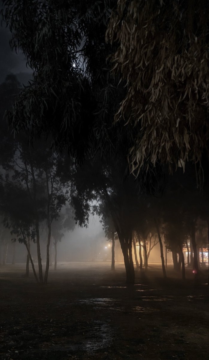 wlc01w's tweet photo. A date in the fog — a need, not a want https://t.co/weeruRWy91