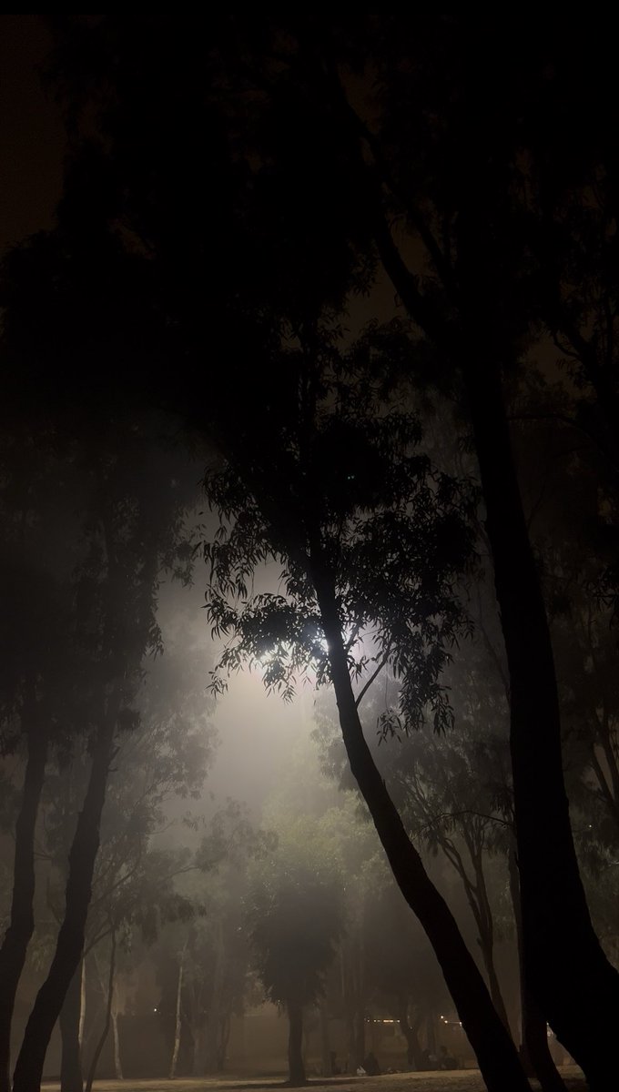 wlc01w's tweet photo. A date in the fog — a need, not a want https://t.co/weeruRWy91