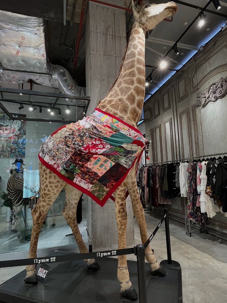 teteuTTI's tweet photo. 日本の動物たちをもっと身近に。 https://t.co/Ip5RwiDavu