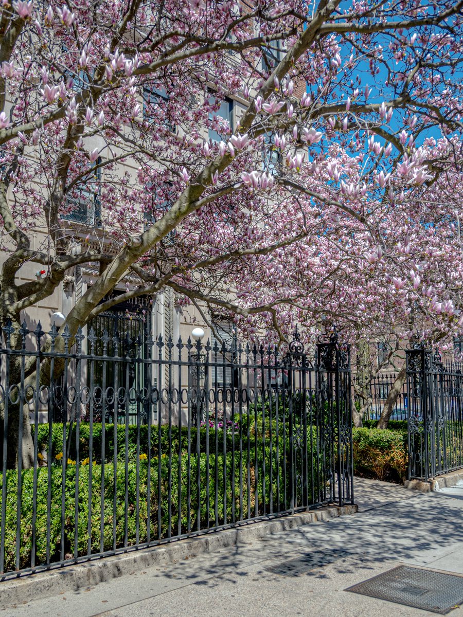 SherikaHelpw's tweet photo. A serene feeling on a warm spring day. https://t.co/IsfykYh8a9