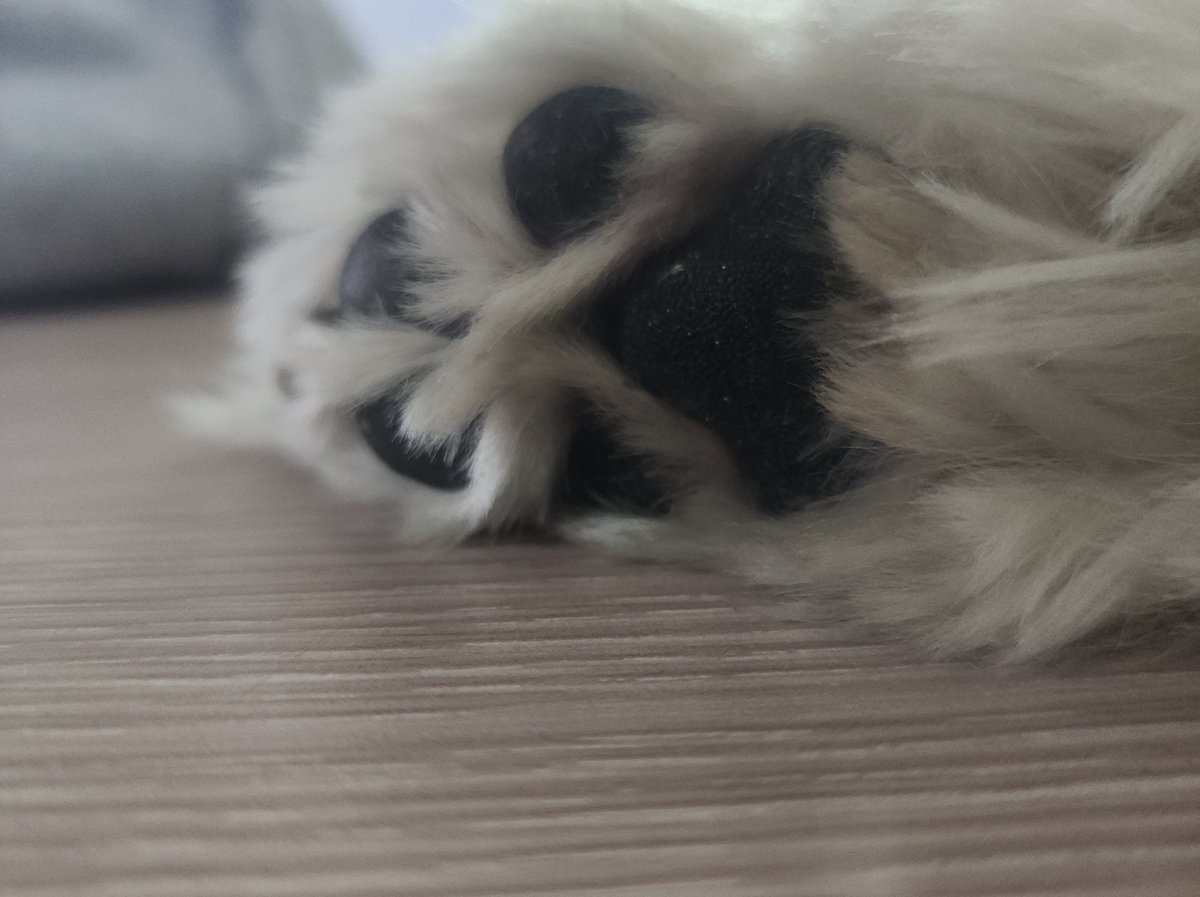 meumin_'s tweet photo. #본_사람_다_써라

1) 초등/중등/고등/성인 : 고등
2) 그림러/글러 : 둘 다
3) 음치/박치/몸치 : 셋 다긴 한데 핑계를 좀 대자면 음정을 못 맞추는거지 올라가긴올라갑니다
4) 키 140/ 150/ 160/ 170/ 180 : 언니 170이다
5) 형제/자매 : 여동생 하나
6) 반려동물 유/무 : 이건 제 개 엉덩이에요 https://t.co/rljFn8nNIk
