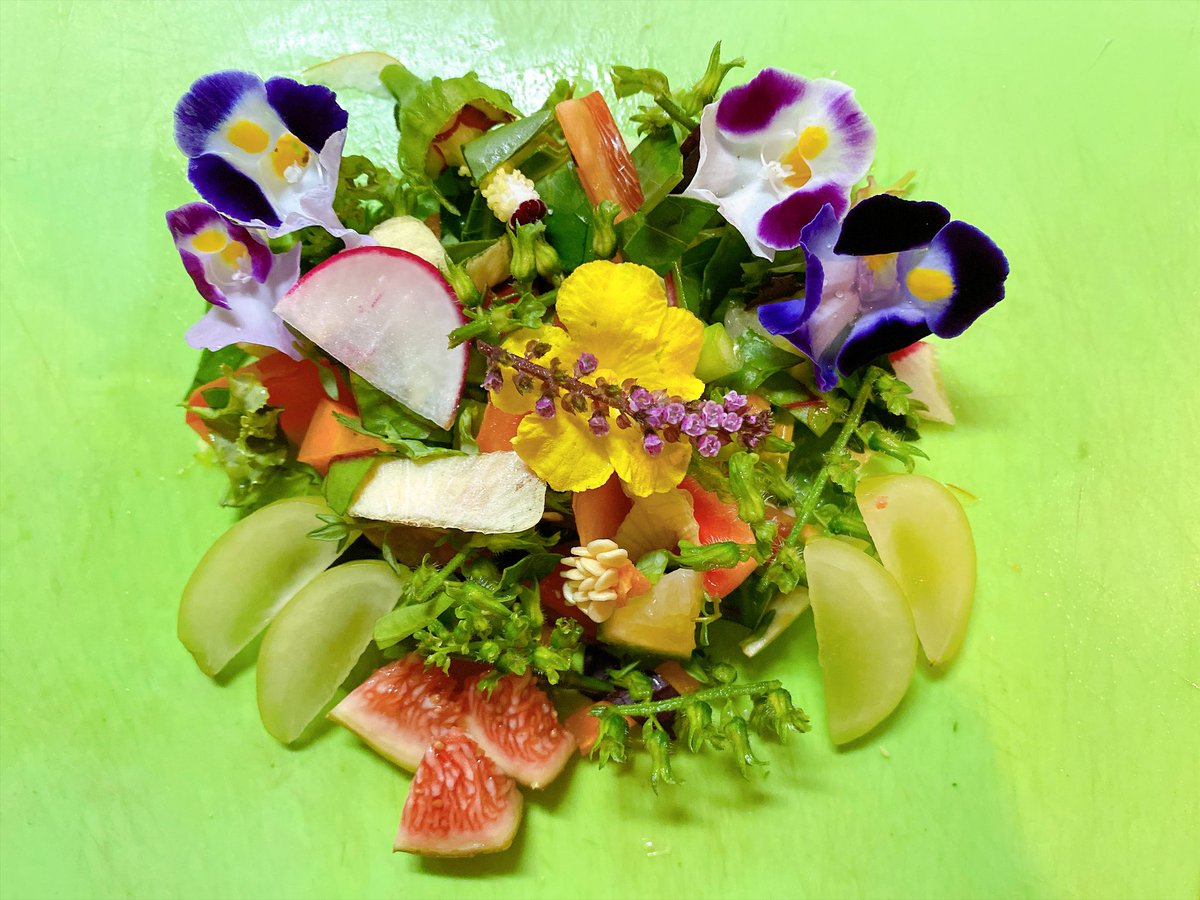 aslan20200602's tweet photo. 今朝の鳥サラダ🥗 https://t.co/OBBamYBN9l
