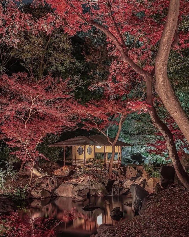 viewsoff's tweet photo. Japan 🇯🇵 https://t.co/dscnUTzkjQ
