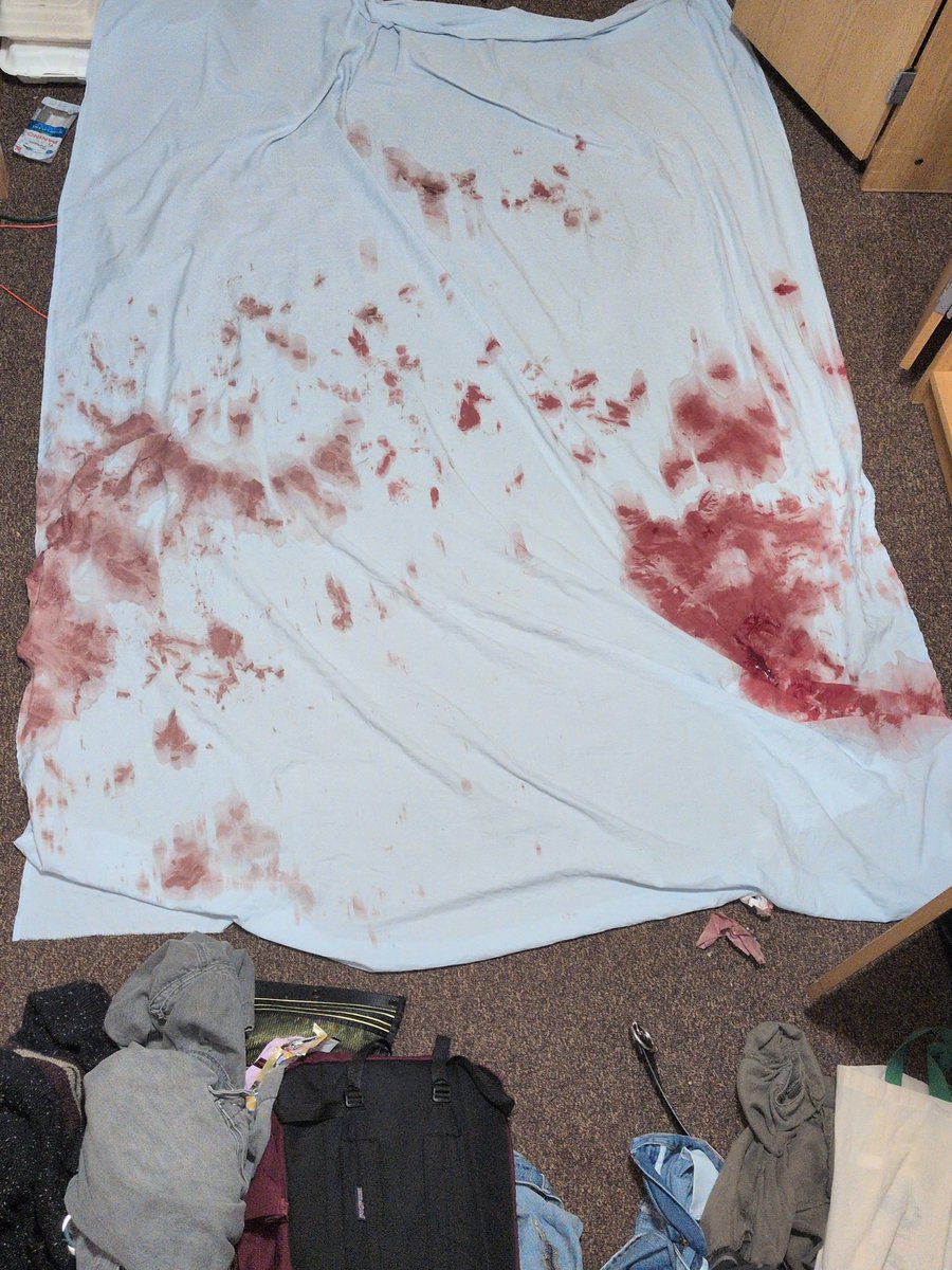 pleebleslol's tweet photo. Bedsheet check (my blood rag for now lol) #shtwt #shtwtt #beanstwt #beans #styrotwt #catscratch #slittwt #ouchietwt #988twt https://t.co/ESihBtpn6m