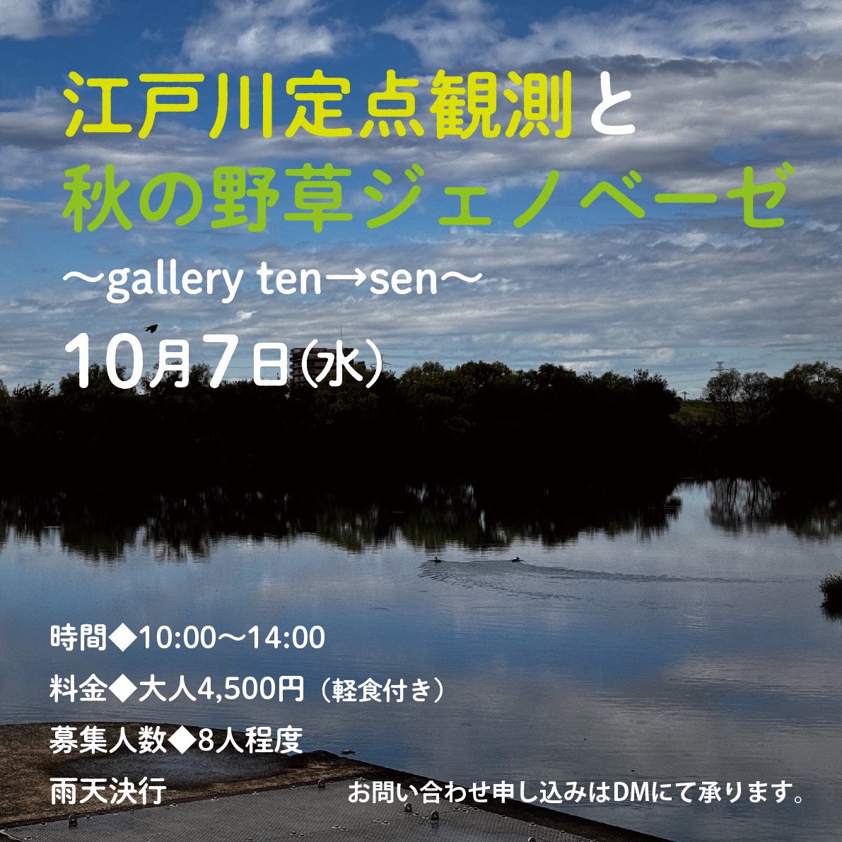 zasso_labo's tweet photo. お知らせ色々です。お問い合わせください。
⁡
 #雑草研究所 https://t.co/TAKCSSPlIy